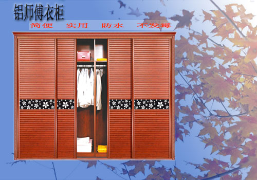 漂亮簡(jiǎn)易全鋁合金大衣柜圖片