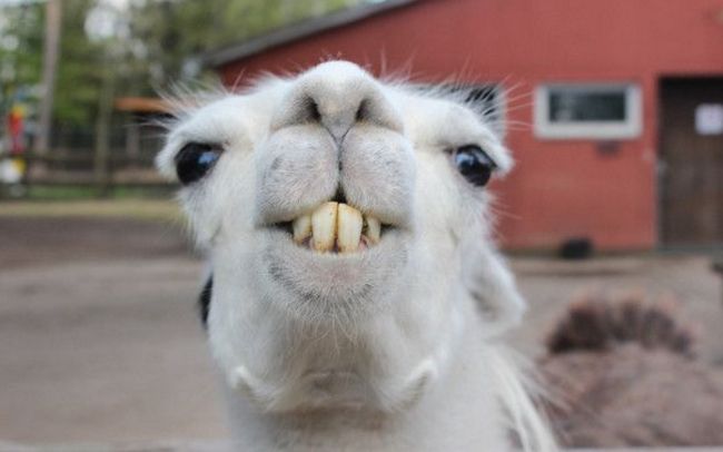 有趣的人怎么打造自己的家？鋁師傅為您揭曉